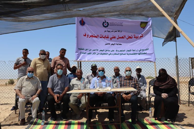 مناحل قائمة على أشجار المانغروف