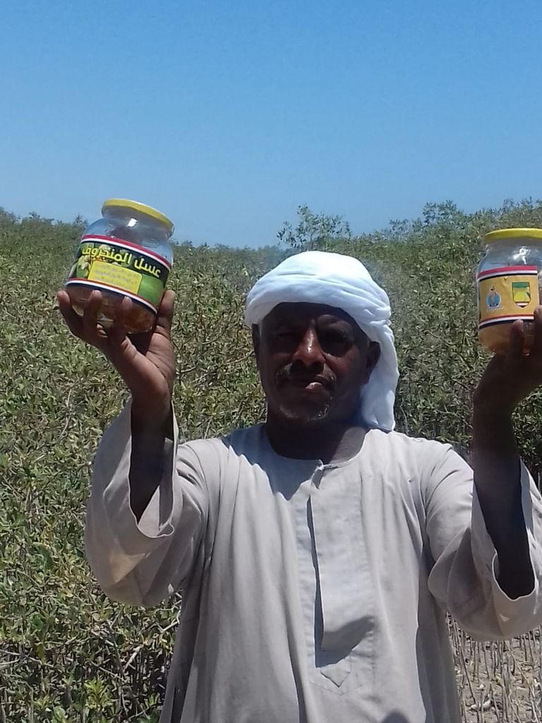 مناحل قائمة على أشجار المانغروف