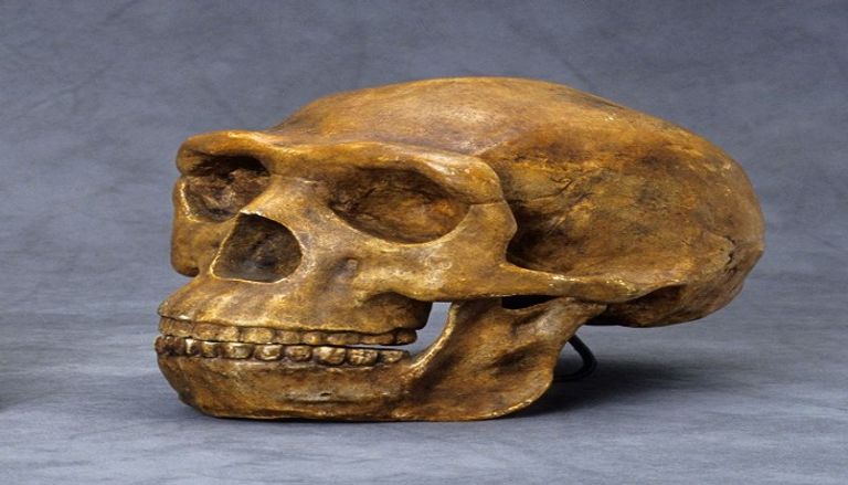 جنود ألمان في غرفة العنبر