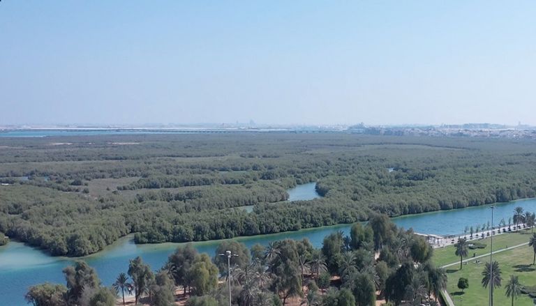 الإمارات تحصد ثمار "الحوار الوطني حول الطموح المناخي" مريم المهيري وزيرة التغير المناخي والبيئة في دولة الإمارات