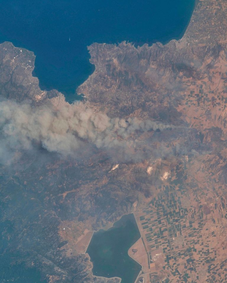 رائد الفضاء الإماراتي سلطان النيادي