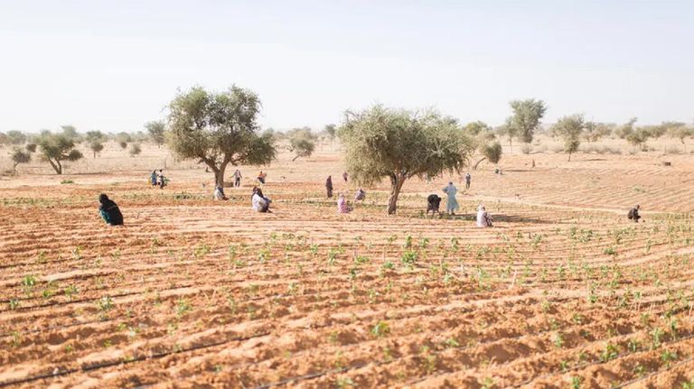 أزمة لجوء مزدوجة تفاقم الضغط على الموارد المحدودة في النيجر