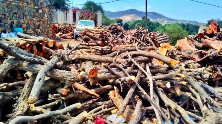 ارتفاع أسعار الوقود دفع بعض اليمنيين إلى استخدام الحطب