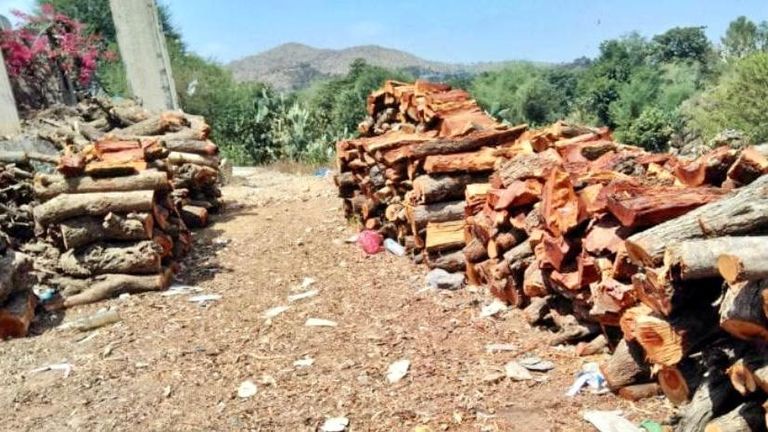 ارتفاع أسعار الوقود دفع بعض اليمنيين إلى استخدام الحطب