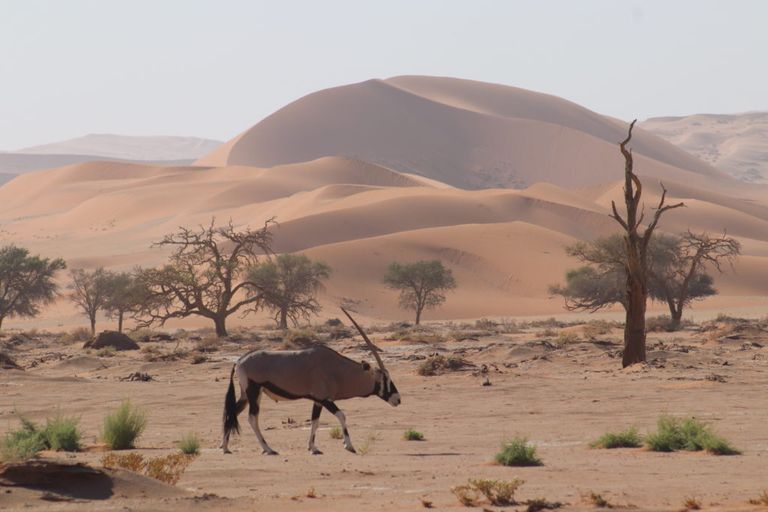 البندقية في إيطاليا في دائرة الخطر بسبب التغير المناخي