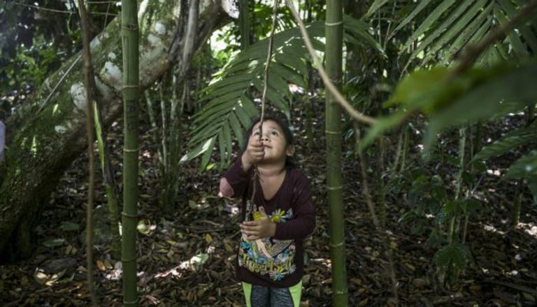 طفلة تحت ظلال أشجار في الغابة - Magnum Photos for FAO