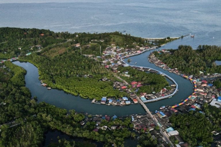 طفلة تحت ظلال أشجار في الغابة - Magnum Photos for FAO