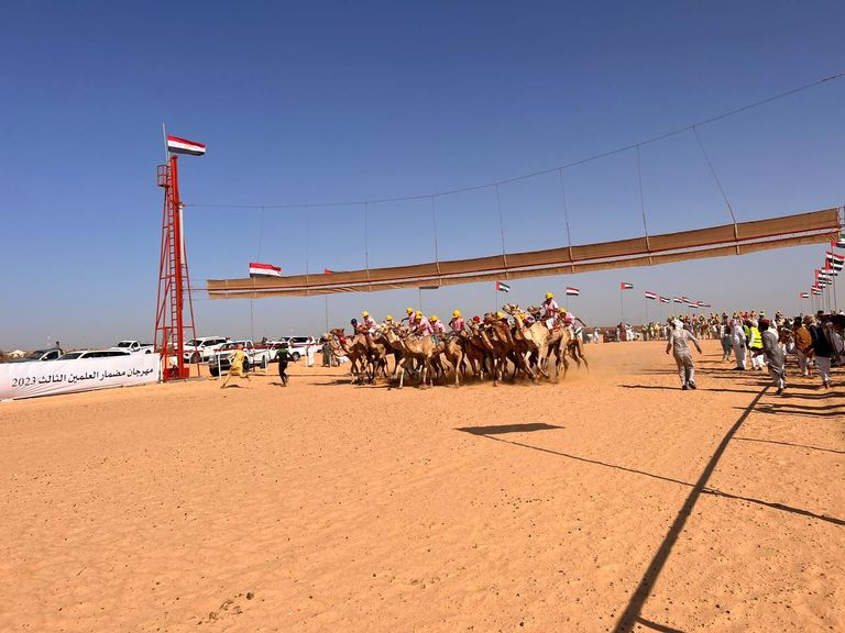 مهرجان العلمين لسباق الهجن