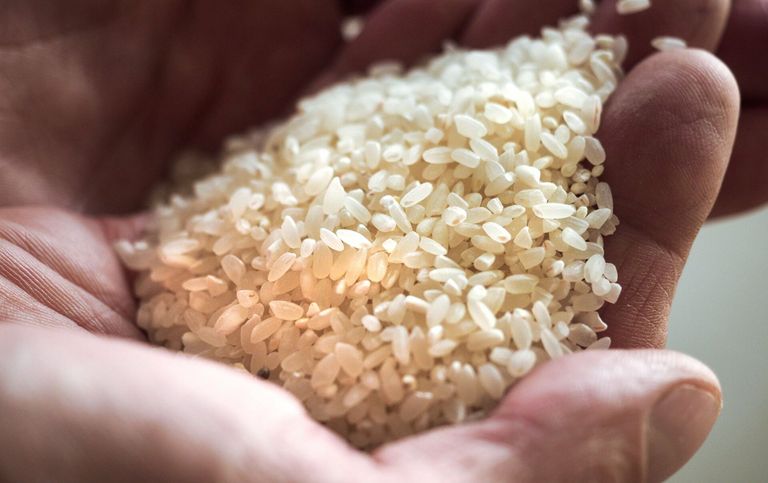 الأرز - صورة تعبيرية