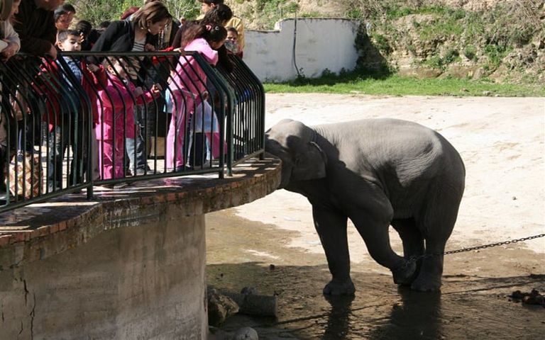 حديقة حيوانات بن عكنون منطقة يمّا قورايا بولاية بجاية الجزائرية الساحلية - أرشيفية
