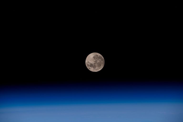 رائد الفضاء الإماراتي سلطان النيادي 