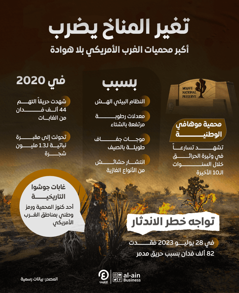 غابات جوشوا التاريخية تواجه خطر الاندثار 