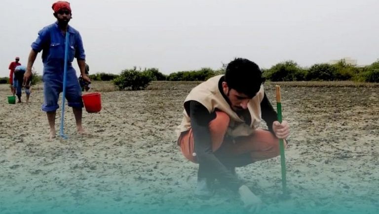 عماني يشارك في حملة بيئية ضخمة لغرس مليون شجرة سلطنة عمان مستقبل الطاقة الخضراء