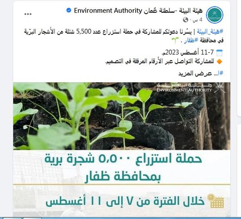 سلطنة عمان مستقبل الطاقة الخضراء