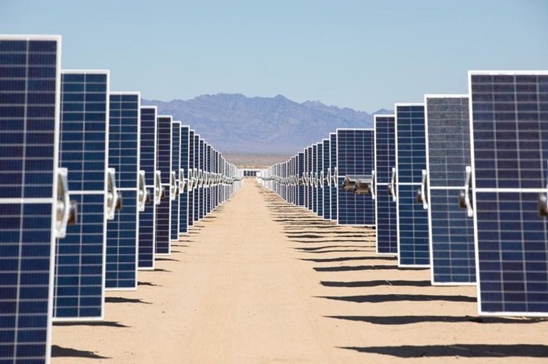 الإمارات نموذج عالمي في الالتزام بحماية الأرض