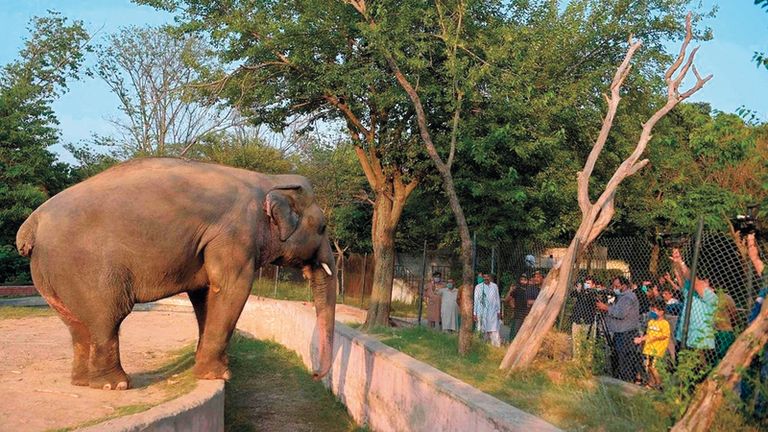 حدائق الحيوانات والمحميات الطبيعية ضمن أماكن السياحة في برازافيل السياحة في برازافيل