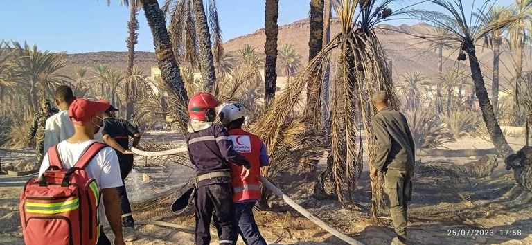 حرائق في أشجار النخيل بالمغرب