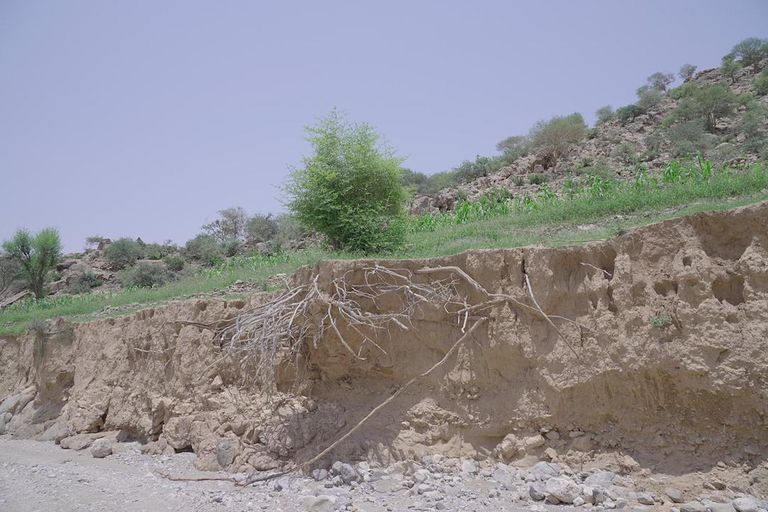 آثار التغيرات المناخية في اليمن.. أرشيفية