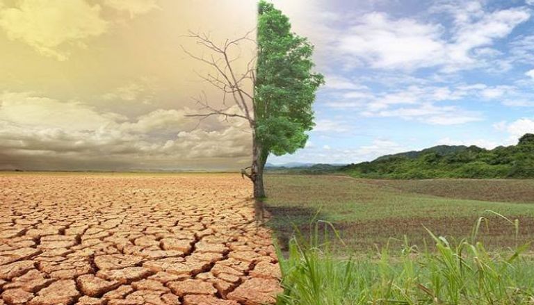 فاروق الباز - صورة أرشيفية