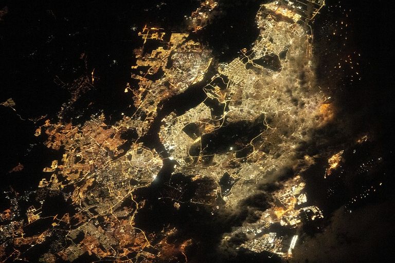 سلطان النيادي