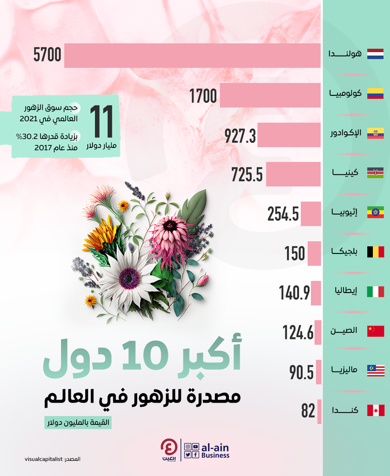 حقول زهور التوليب في هولندا- رويترز
