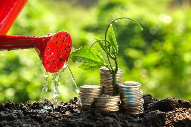 الصناديق الخضراء آلية جديدة لتمويل العمل المناخي بالشراكة بين مختلف الأطراف