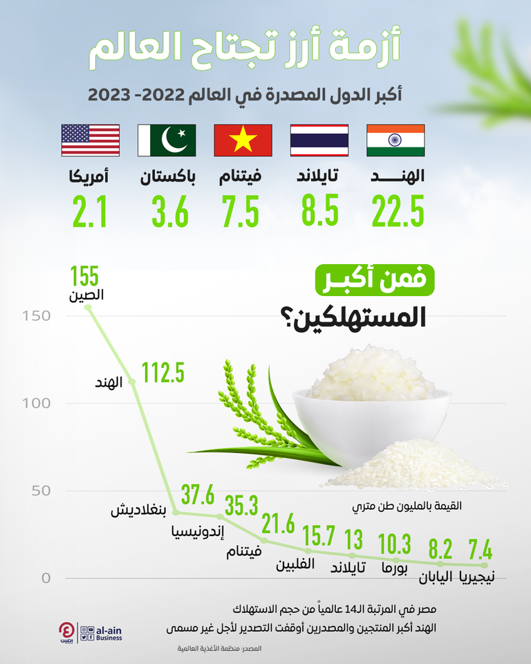 صورة للأرز - مصدر الصورة: كانفا