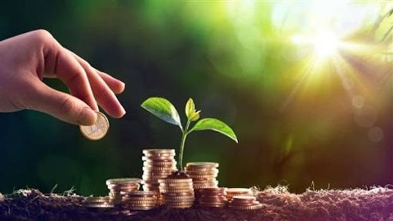 دعوة للتوسع في تمويل مشروعات الشباب