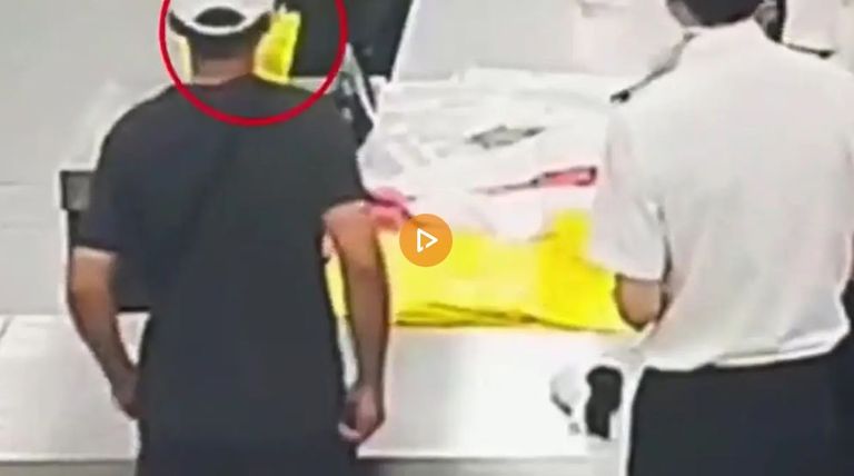 الثعابين الـ14 كانت ملفوفة في جوارب قطنية أو أكياس قماشية