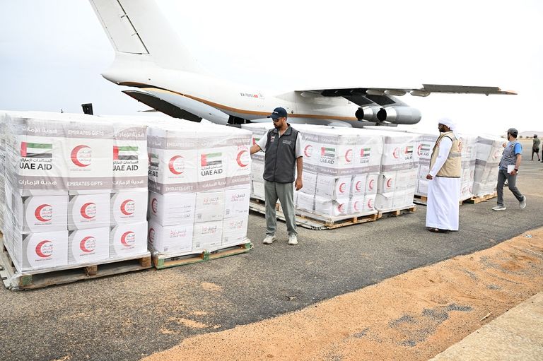 جانب من المساعدات الإماراتية