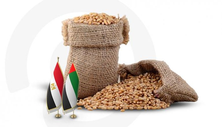 اتفاقية القمح بين الإمارات ومصر.. نموذج رائد للعلاقات بين البلدين