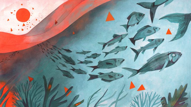 تغير المناخ يسبب تغيرات جينومية في الأسماك