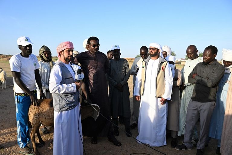 مساعدات إماراتية