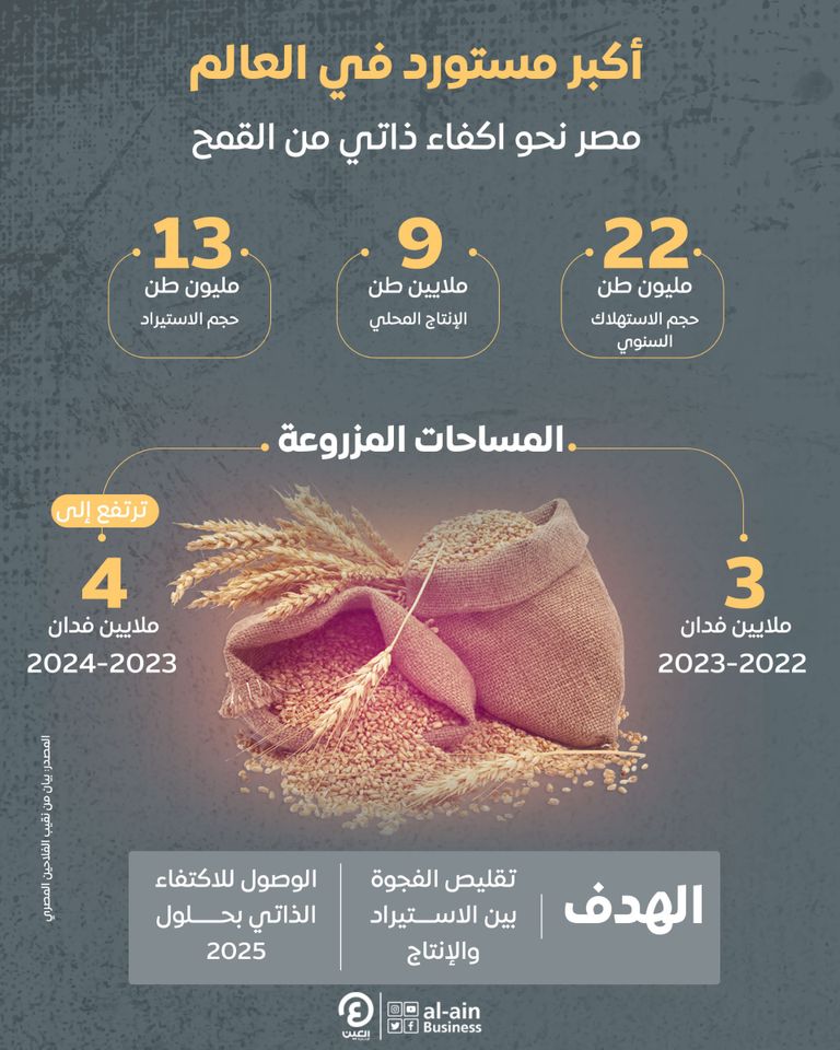 نقيب الفلاحين يزف بشرى للمصريين: سنزرع 4 ملايين فدان قمح