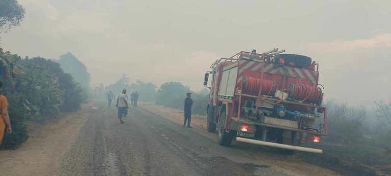 حرائق غابات محافظة جندوبة