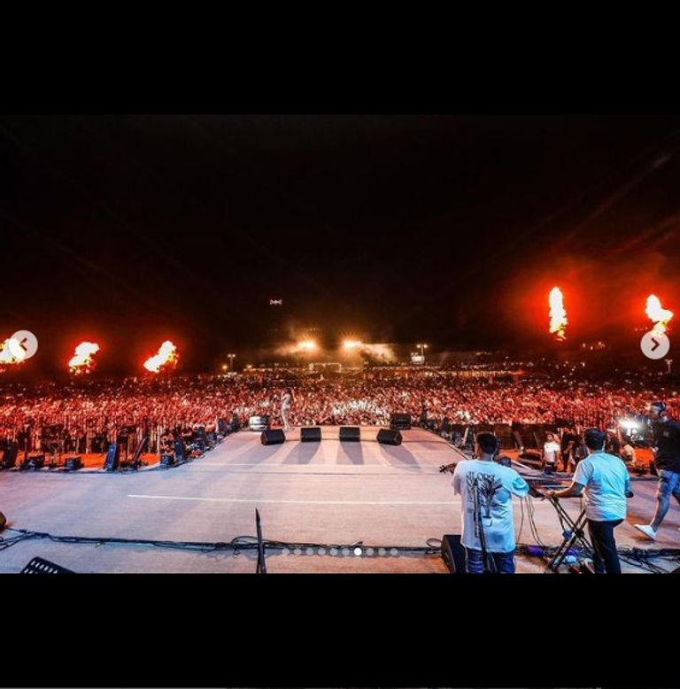 هيفاء وهبي في حفل كفر الشيخ