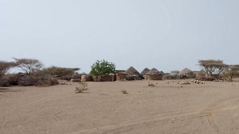 أحد منازل السعف في اليمن