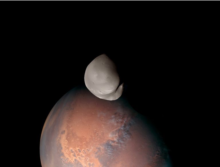 المرأة الإماراتية أسهمت بقوة في بناء الوطن وتعظيم إنجازاته