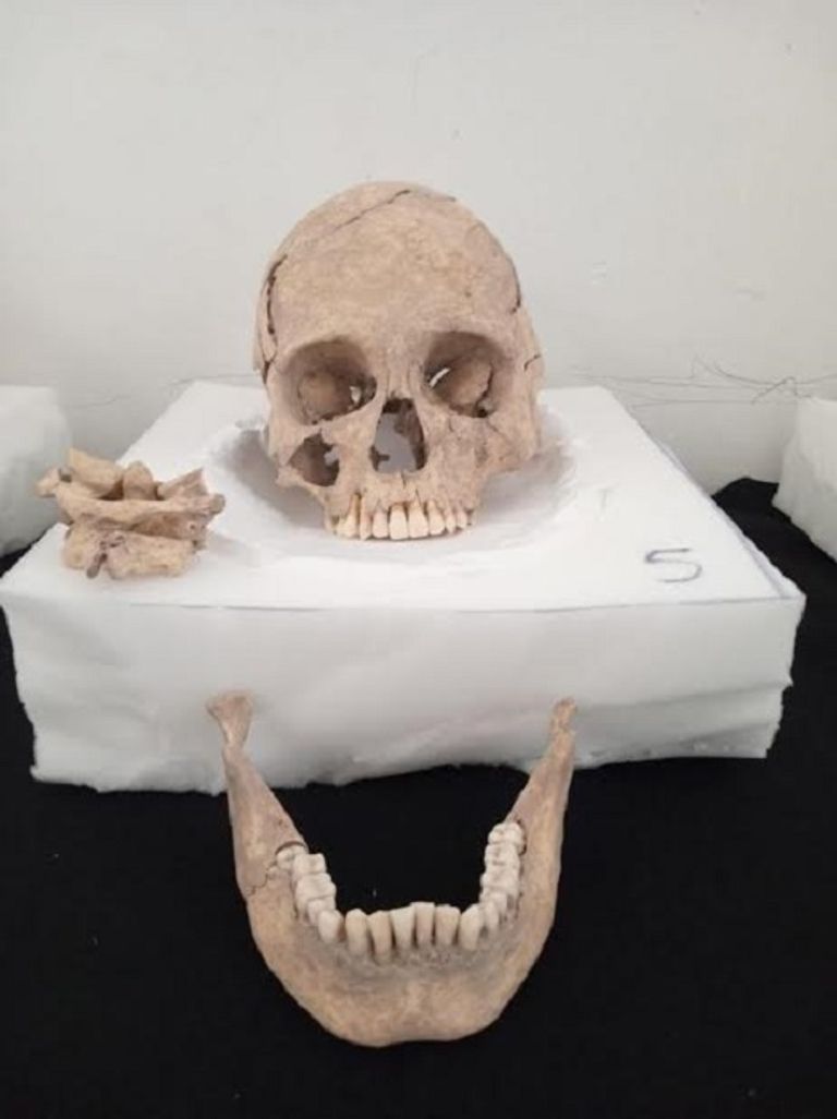 هرم يعود لحضارة المايا