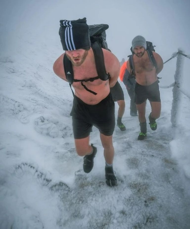 شورله مع غوتزه