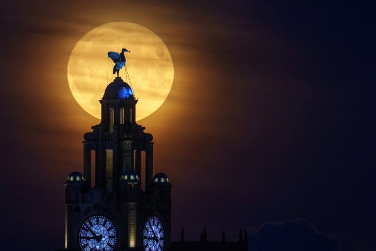 القمر الأزرق العملاق خلف مبنى Royal Liver