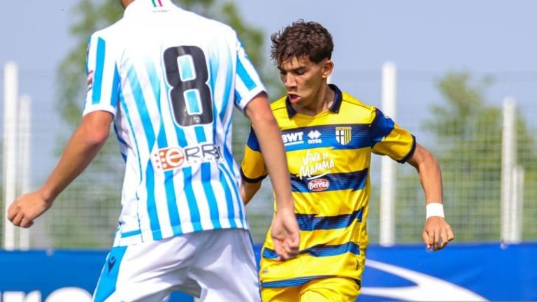  أنس الحاج محمد