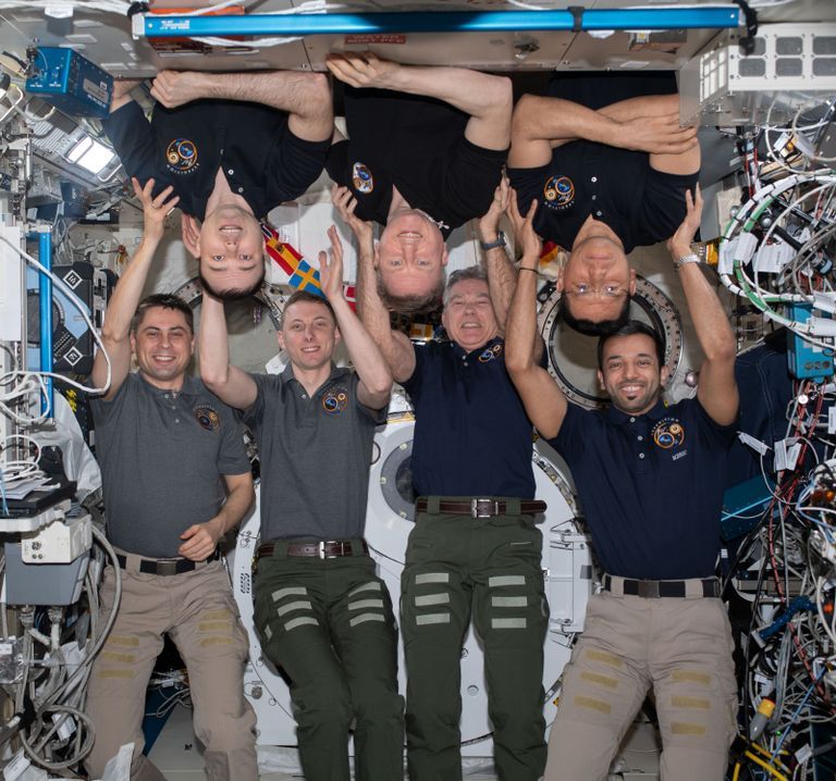 سلطان النيادي