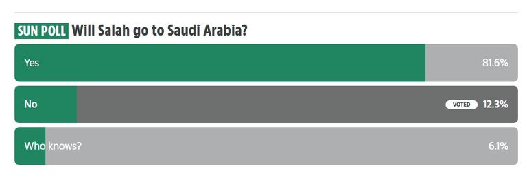 تصويت ذا صن