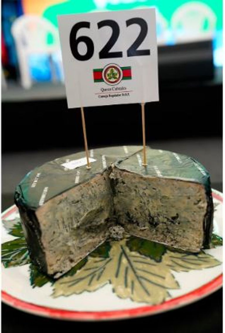 أغلى قطعة جبن في العالم