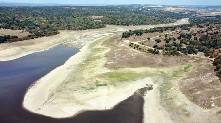 الجفاف في بحيرة "كرم الدين"