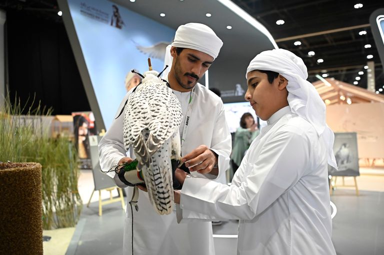 معرض أبوظبي الدولي للصيد 2023