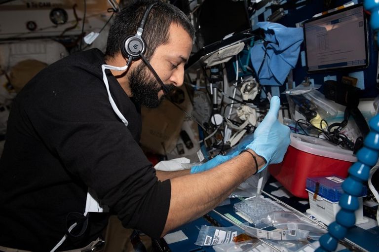 فاروق الباز