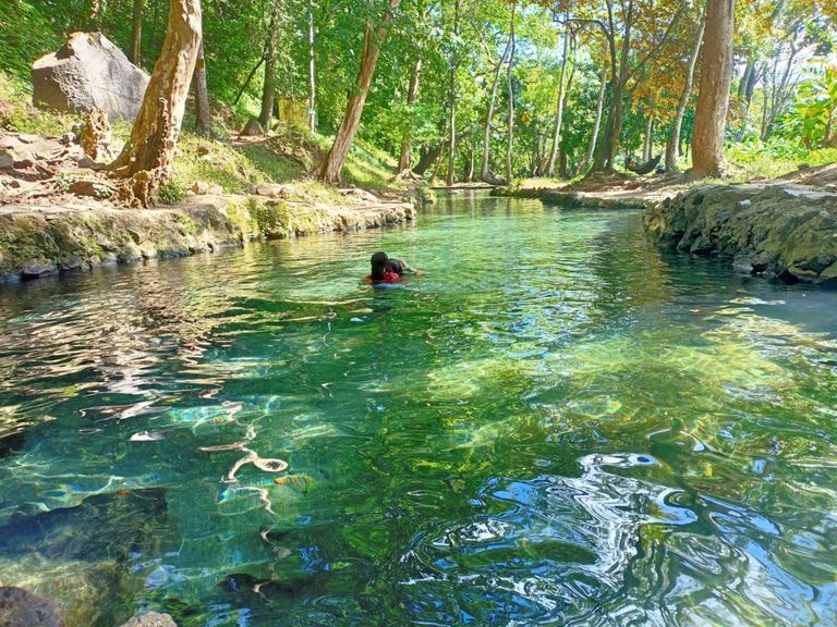 محمية ريو ماناريس دي أغواس أجرياس الطبيعية أحد أجمل أماكن السياحة في نيكاراغوا أماكن السياحة في نيكاراغوا