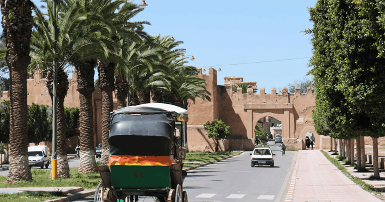 مدينة تارودانت التاريخية أحد أفضل أماكن السياحة في تارودانت السياحة في تارودانت